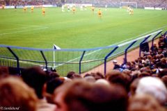 England - London - White Hart Lane