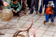 China - Kunming street view. Monkey entertainment