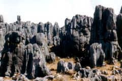 China - Kunming - Shilin Stone Forest - The stones tower ten metres up in the air.
