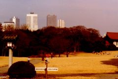 Japan - Tokyo - Yoyogi Park with Shinjuku in the background. The seething crowds and hectic traffic contribute to making both me and the Japanese fairly stressed. It is then good to seek refuge in one of the many and large parks.
