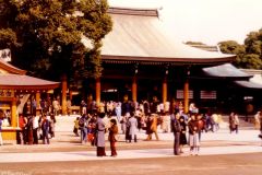 Japan - Tokyo - Meiji Shinto Shrine altar. The park and the buildings are dedicated to the Meiji Emperor who started the modernisation process in Japan, in the middle of the 19th century.