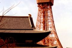 Japan - Tokyo - Tokyo Tower with a temple in front