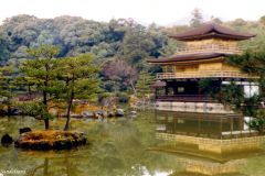 Japan - Kyoto - Kinkakuji Buddhist temple - Golden pavillion