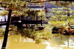 Japan - Kyoto - Kinkakuji Buddhist temple