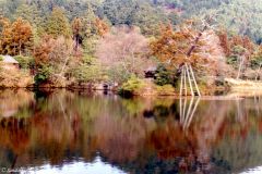 Japan - Kyoto - Ryōan-ji Temple