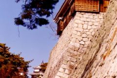 Japan - Matsuyama - Castle
