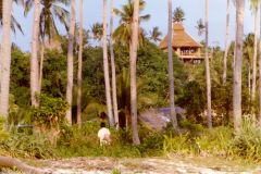 Philippines -  Boracay - Creativity in cabin placement