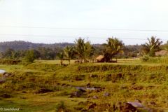 Philippines - Mayon - Rural area in Southern Luzon