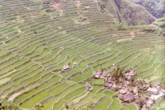 Philippines - Rice terraces near Banaue