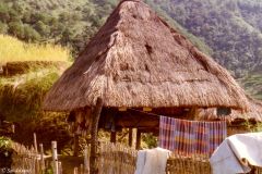 Philippines - Village cottage on stilts near Banaue