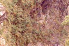 Taiwan - Taroko Gorge