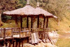 Taiwan - Alishan - 2500 metres above sea level