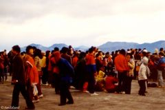 Taiwan - Alishan - 2500 metres above sea level