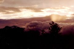 Taiwan - Alishan - 2500 metres above sea level