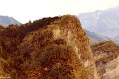 Taiwan - Alishan - 2500 metres above sea level