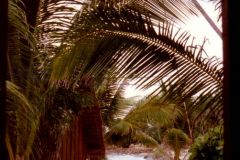Thailand - Koh Samui