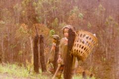 Thailand - Golden Triangle Trekking