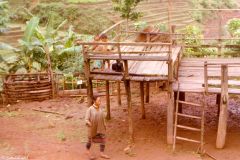 Thailand - Golden Triangle Trekking