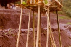 Thailand - Golden Triangle Trekking - Sacrifice