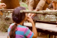 Thailand - Golden Triangle Trekking
