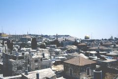 Israel / Palestine - Jerusalem Old Town - View from the Damascus Gate