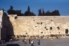 Israel / Palestine - Jerusalem Old Town - Wailing Wall