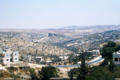Palestine - Fields of Bethlehem