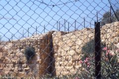 Jordan - Jerash - Roman ruins