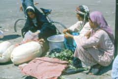 Syria - Deir-es-Zor