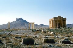 Syria - Palmyra - Zenobia's palace and Ibn Maan citadel