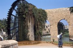 Syria - Hama - 2000 years old waterwheels
