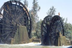Syria - Hama - 2000 years old waterwheels