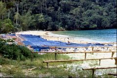 Brazil - Angra dos Reis - Ilha da Gipóia