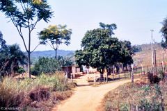 Brazil - On the way to Cuiabá