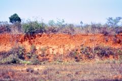 Brazil - On the way to Cuiabá