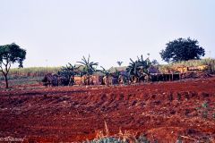 Brazil - On the way to Cuiabá