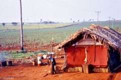 Brazil - On the way to Cuiabá