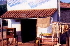 Brazil - On the way to Cuiabá