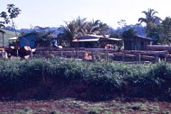 Brazil - On the way to Porto Velho