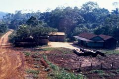 Brazil - On the way to Porto Velho