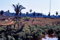 Brazil - On the way to Porto Velho