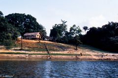 Brazil - Amazonas safari