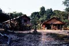 Brazil - Amazonas safari
