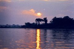 Brazil - Amazonas safari