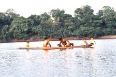 Brazil - Amazonas safari