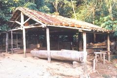 Brazil - Amazonas safari