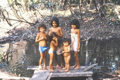 Brazil - Amazonas safari