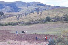 Ecuador - On the way to Otavalo