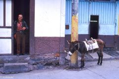 Ecuador - Banos