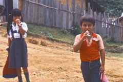 Peru - Lamas